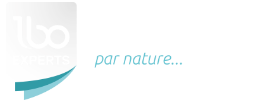 LBO EXPERTS